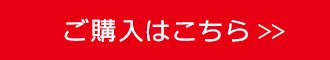 変化を楽しみ、加速する！国内トップクラスのIT専門商社